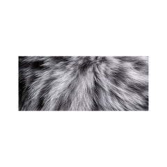 Silver Tabby Cat Print Glass Bathroom Splashback